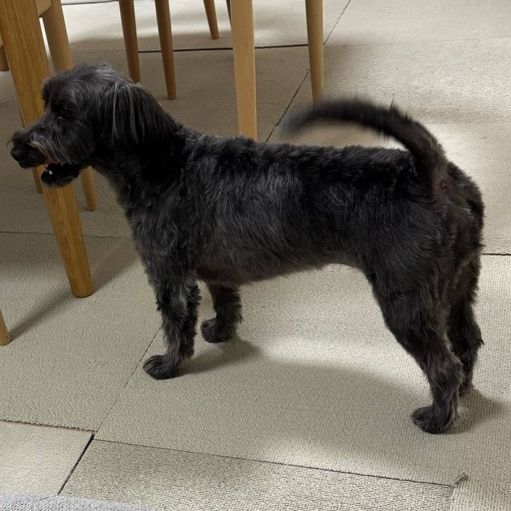 3ee63268 f0dd 4dda b471 720282480451 1766497589757