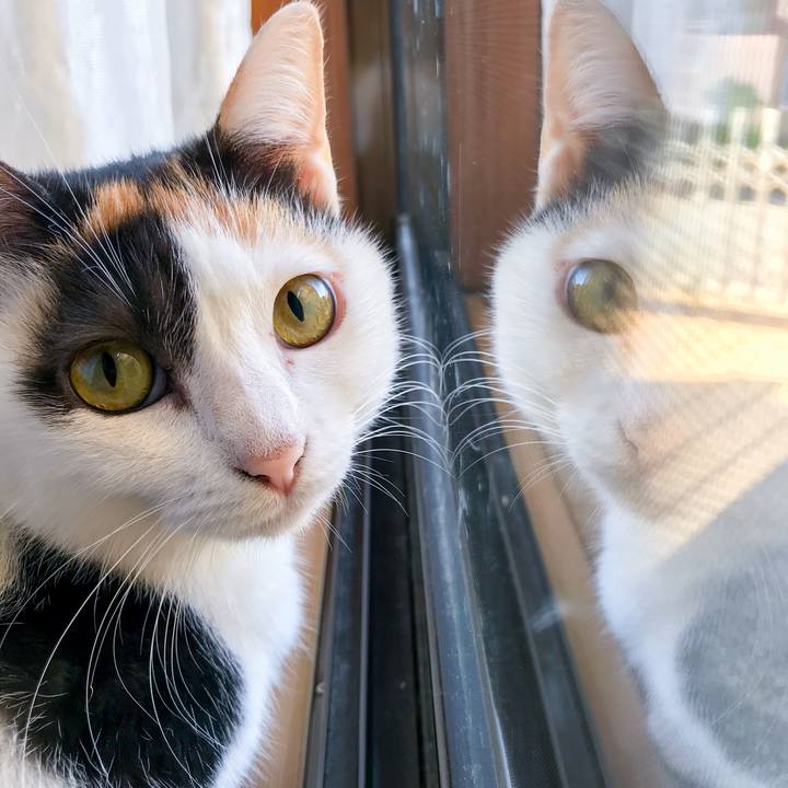 3ee63626 63cc 4e85 8260 ed397076b35d 1509544363993