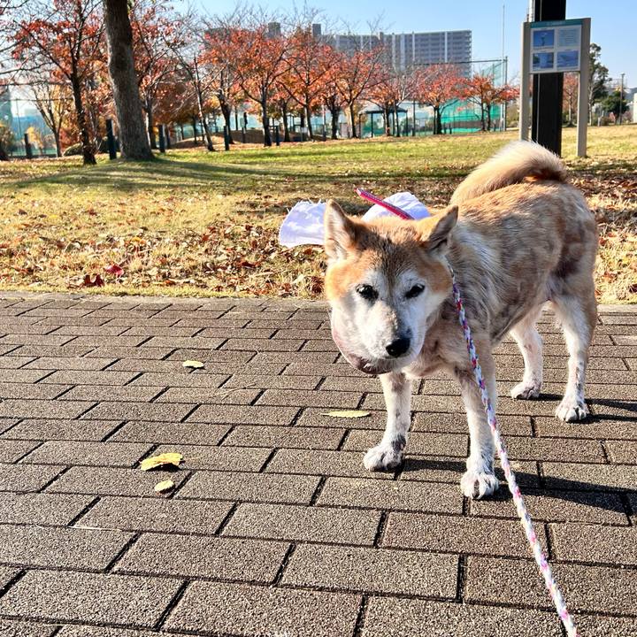 3ee675c7 208b 4862 a5bb 7fcc3a6ba967 1764294052073