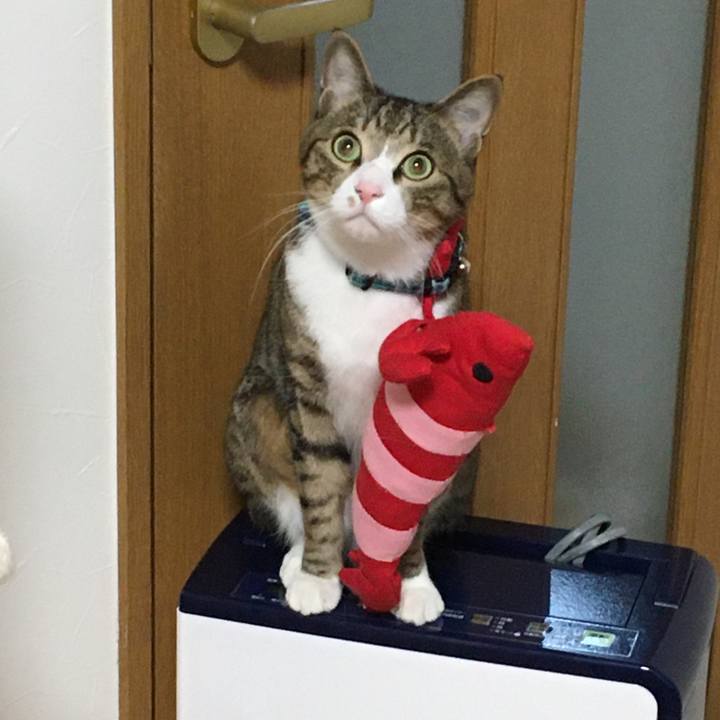 3ee67add 9d9e 4fe3 9f81 e862216d4b77 1704843699455