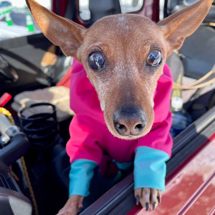 3ee69175 c634 4230 80eb 05b7a2ca0a1f 1708672867165