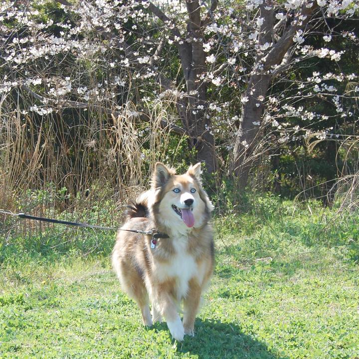 3ee69373 c65f 4c14 986c 7243cd0011d3 1521960523373