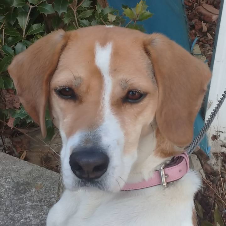 3ee6aeb9 b5fa 488d bd9a c61868cf7014 1580351967588