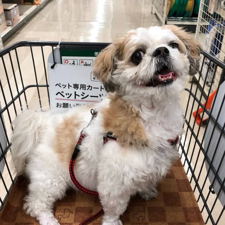 3ee6d860 a986 4549 97e7 7db0f5c55307 1572817784230