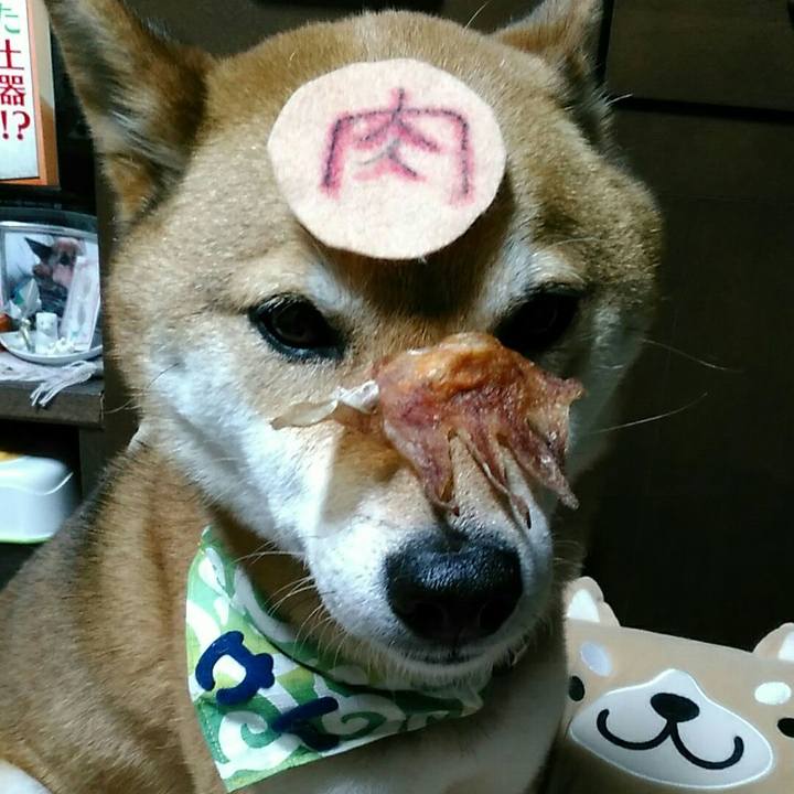 3ee6e500 9f68 4940 9e7e 6c5685f5c60b 1559125673102