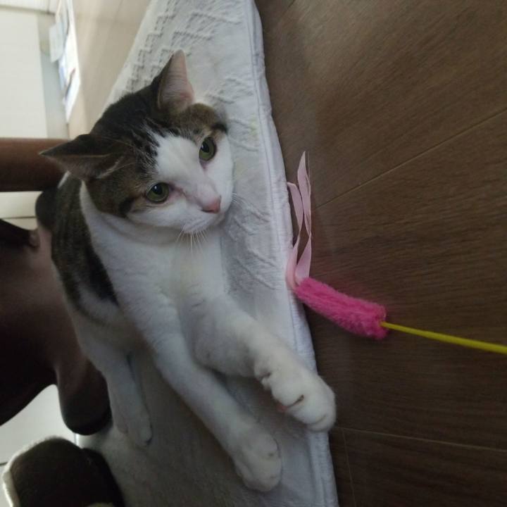 3ee6e9c5 7e36 4d80 9bc2 15d1c005f7f4 1579691165688