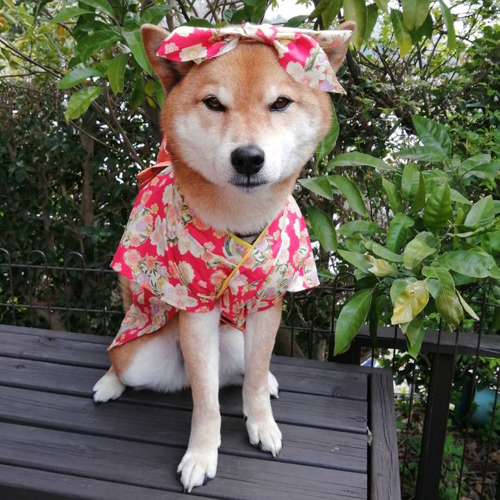 3ee6ef43 1e56 4c13 b57b 250f44adbd8c 1585277291745