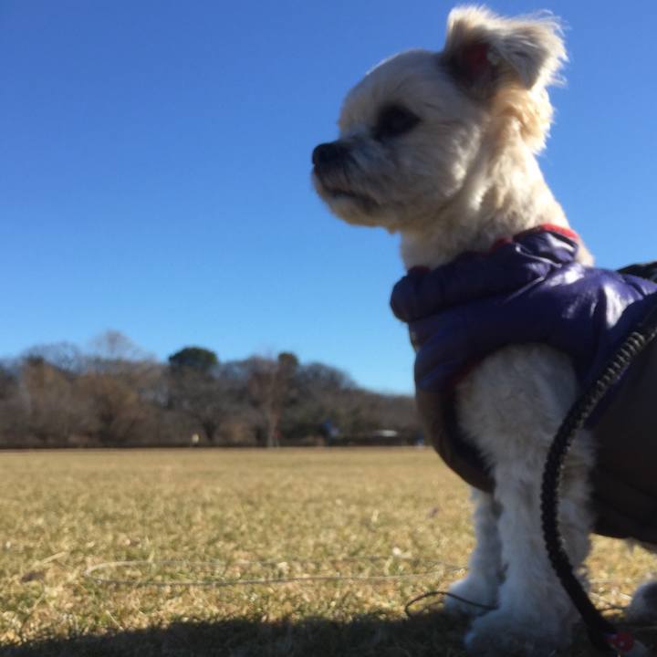 3ee70f06 f4de 4b45 8465 89ea4cb269de 1514790790689