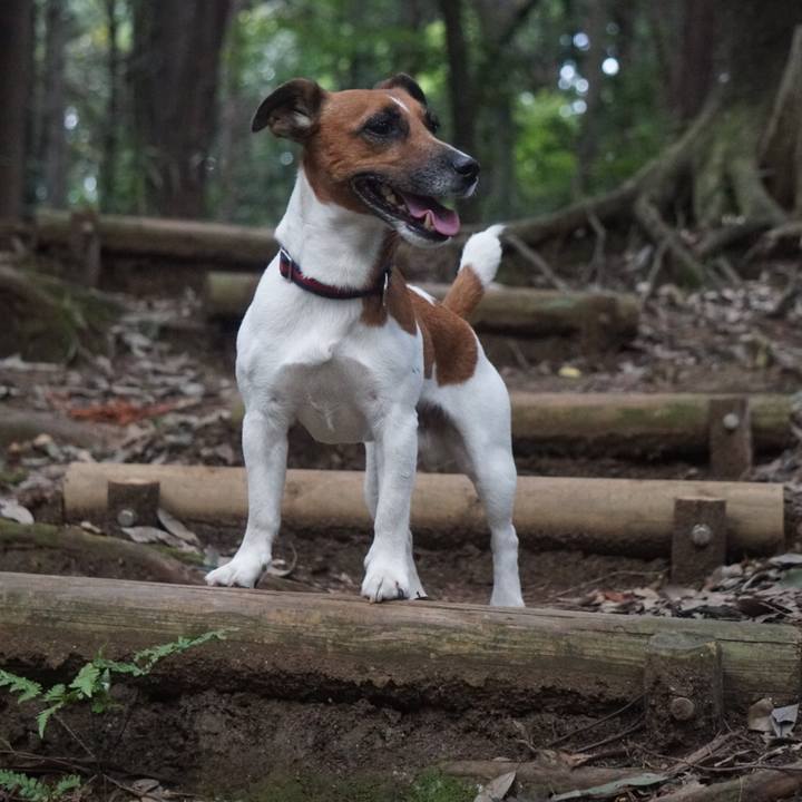 3ee728c3 fb68 455d b58a 1233dd49f551 1536191313886