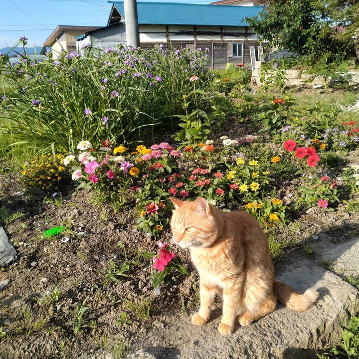 3ee74b12 0c47 4971 a70c 785cb7b7e231 1687299782835