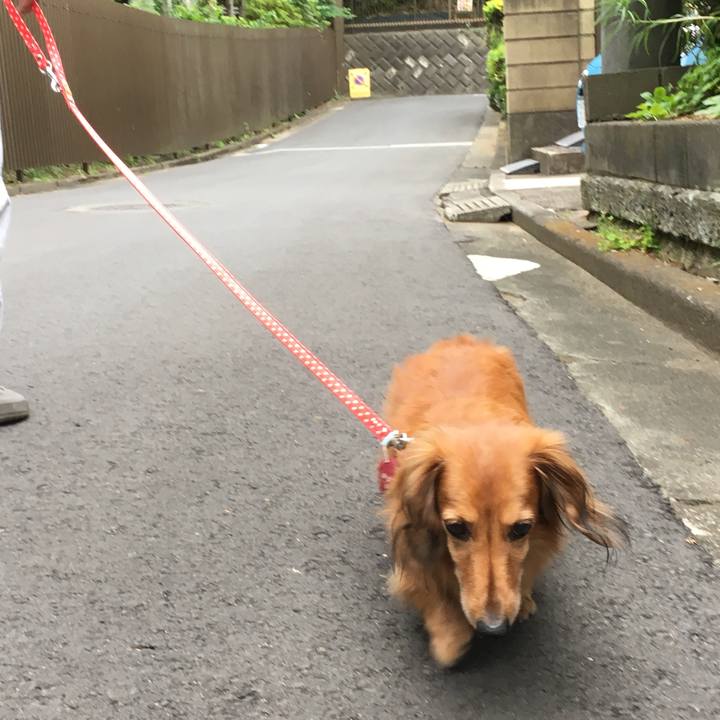 3ee75758 3901 45e9 be51 48b7156401d2 1560076735262