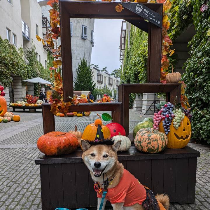 3ee7647c 0639 4712 87ed d6220c9fbe13 1728041696715