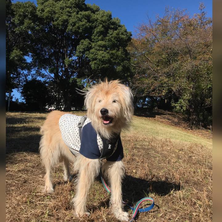 3ee76ea6 95f6 4c87 8161 43a6605b0db8 1635613360800