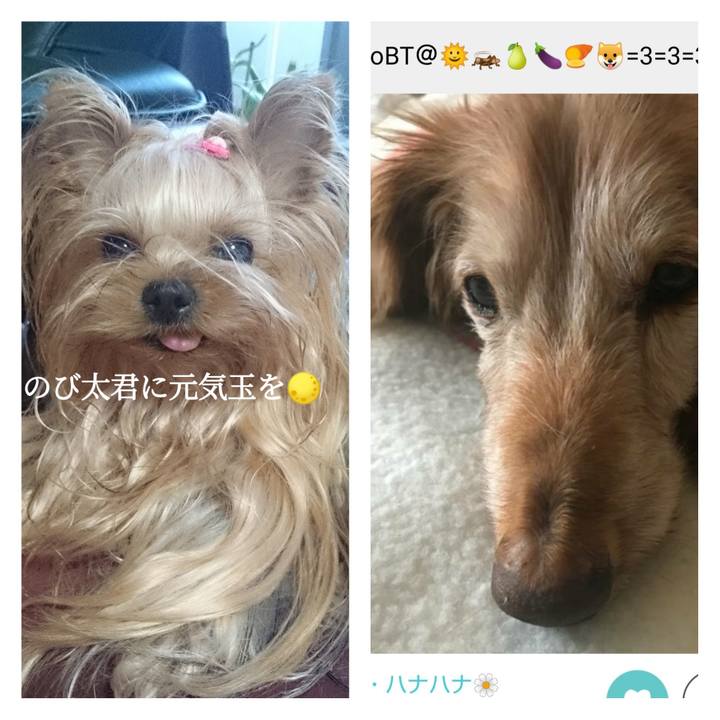 3ee7f861 27cb 4e45 b7c1 289c6562b940 1571571671484