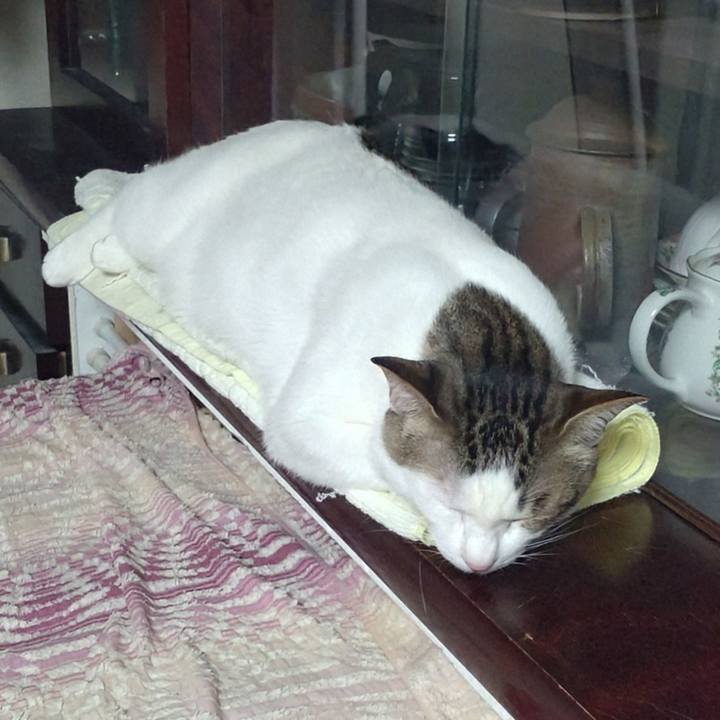 3ee7fae9 77c3 4d10 9a3b a6276d3e3882 1742554272126