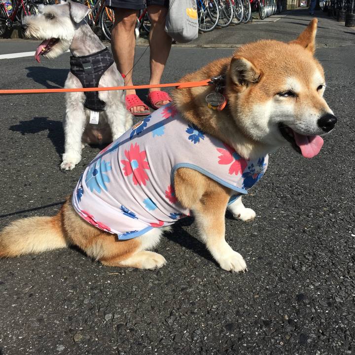 3ee86e4d f084 40a2 8a14 1ecff4faa568 1564878601499