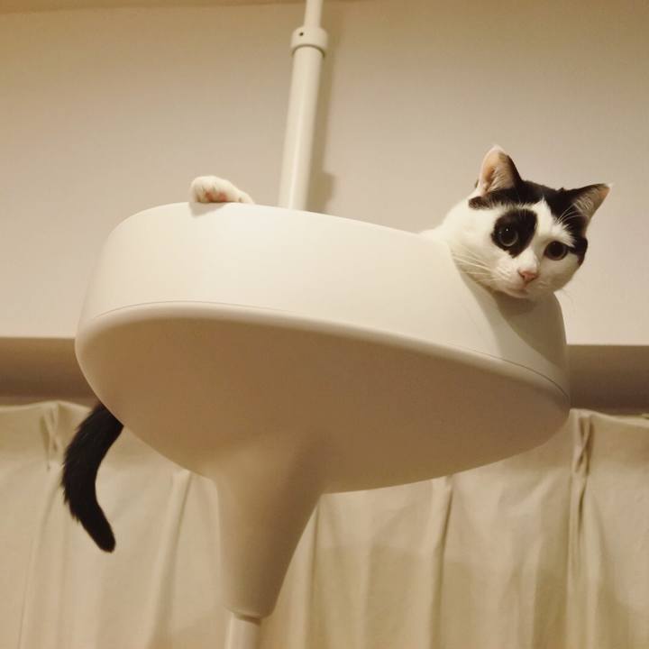 3ee87a77 d71b 44ea bfd8 6b34e19d46a1 1523016923748