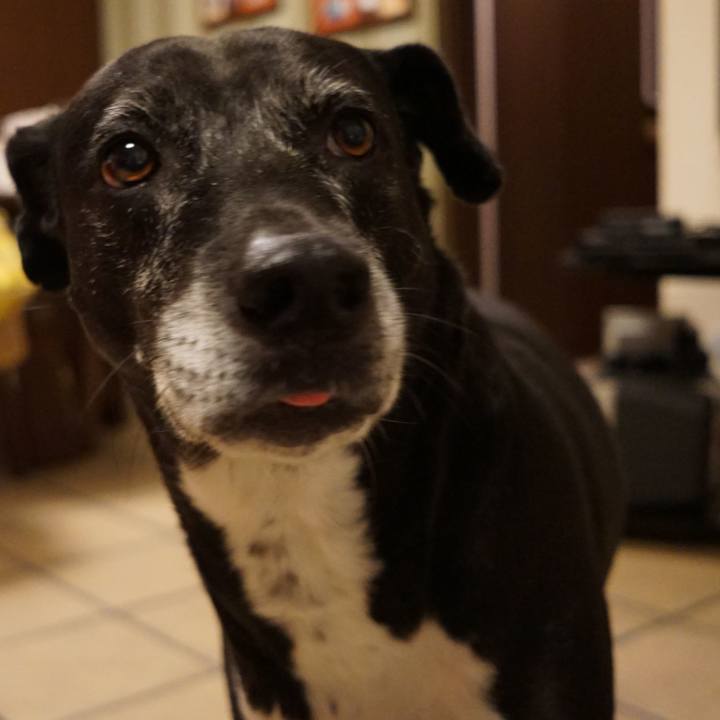 3ee8e13f 235a 47c1 a662 087f75afc366 1760007791282