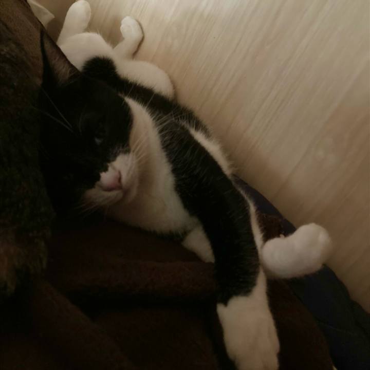 3ee8f79c 863a 4973 9a2b 0175f194f61d 1624026192247