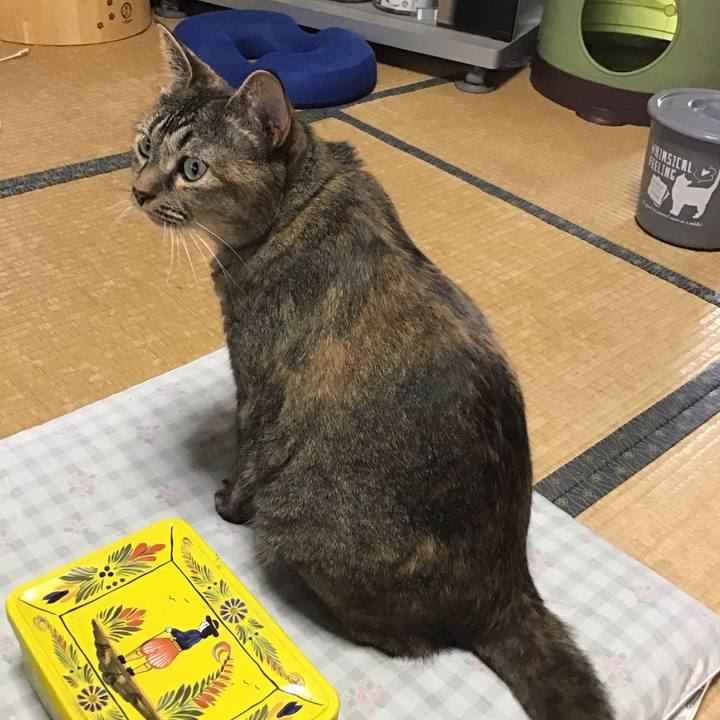 3ee90f88 a0f2 416c b5fb 1b6b9432b5e8 1757676145480