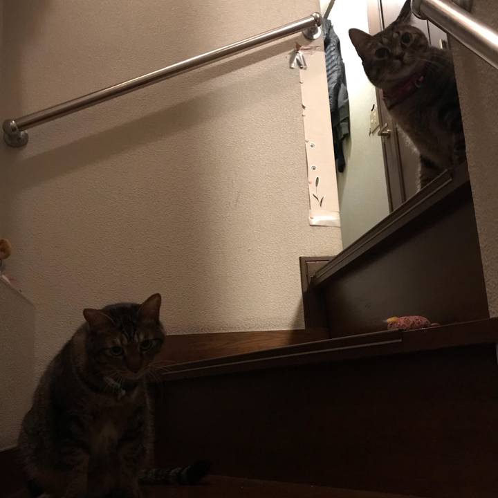 3ee93f3f 669b 433f 8650 4bfd7c183c46 1541333151403