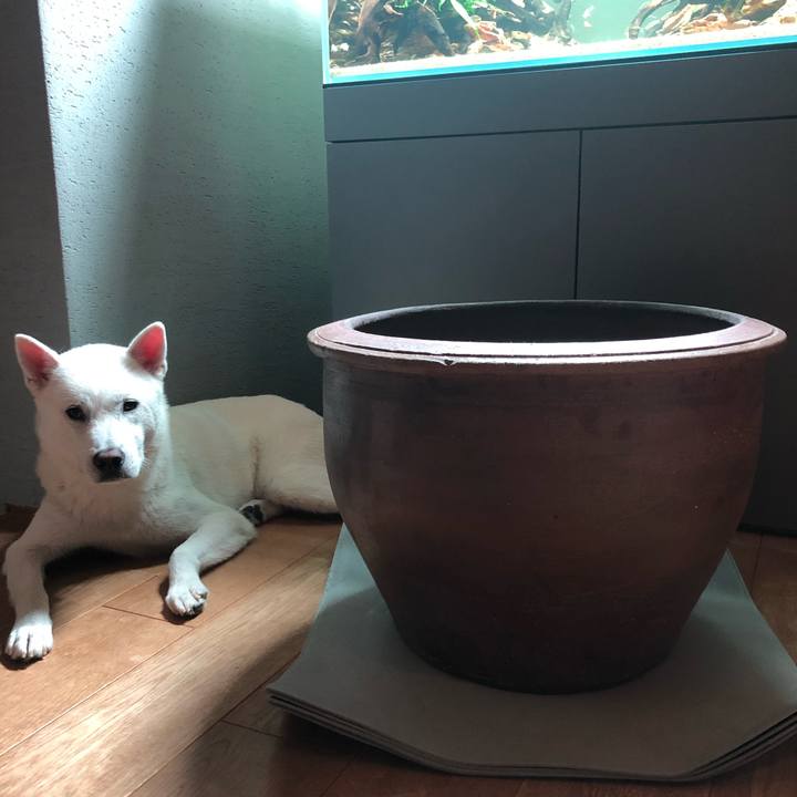 3ee95dd5 dbb0 45b9 90e2 adc4c3a85fd1 1564153379540