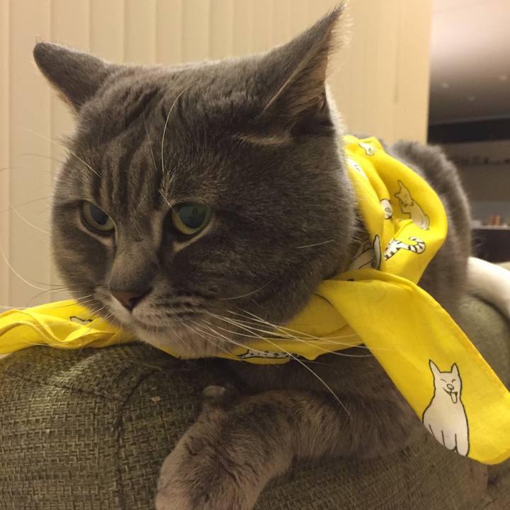 3ee96d2f c595 4523 9a43 0157df78a043 1577801801936