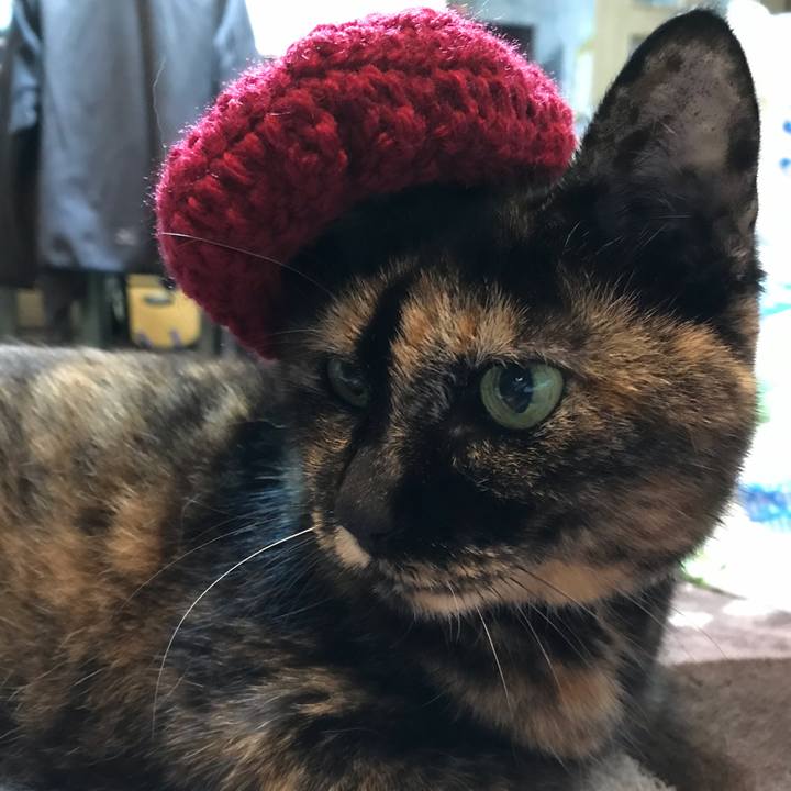 3ee973fe 5947 4481 8385 dd93eb1c2810 1569627956087