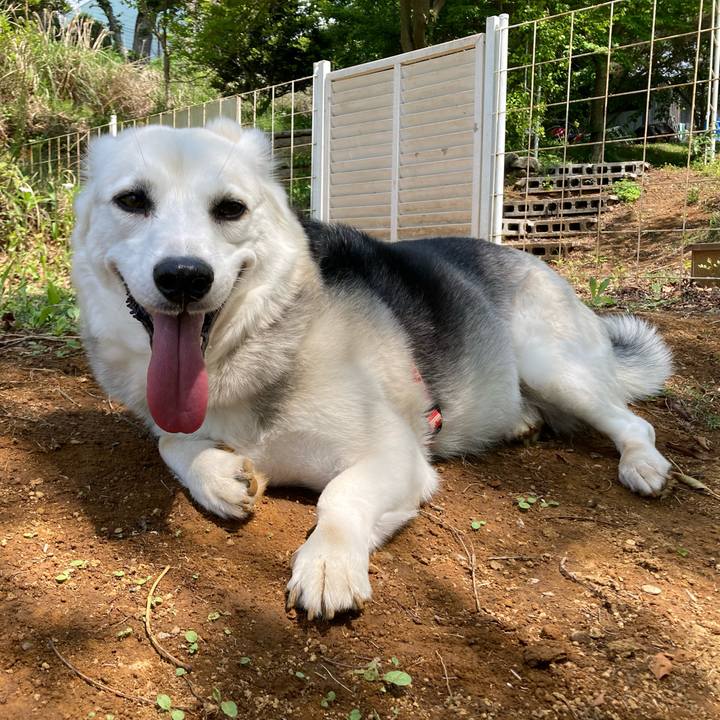 3ee98818 8017 4ab8 8a3c 7e99b1e209bd 1652189682378