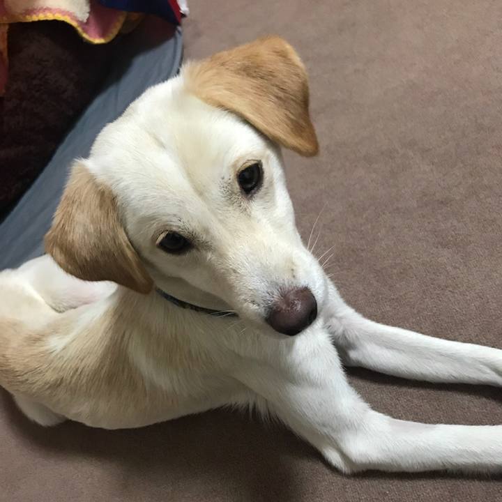 3ee98df2 0c4f 47ec 8eda 1a0298d8b1c4 1534949162211