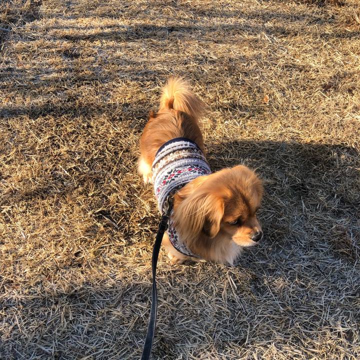 3ee9a973 cdb9 4924 b788 266d237a146a 1547424540052