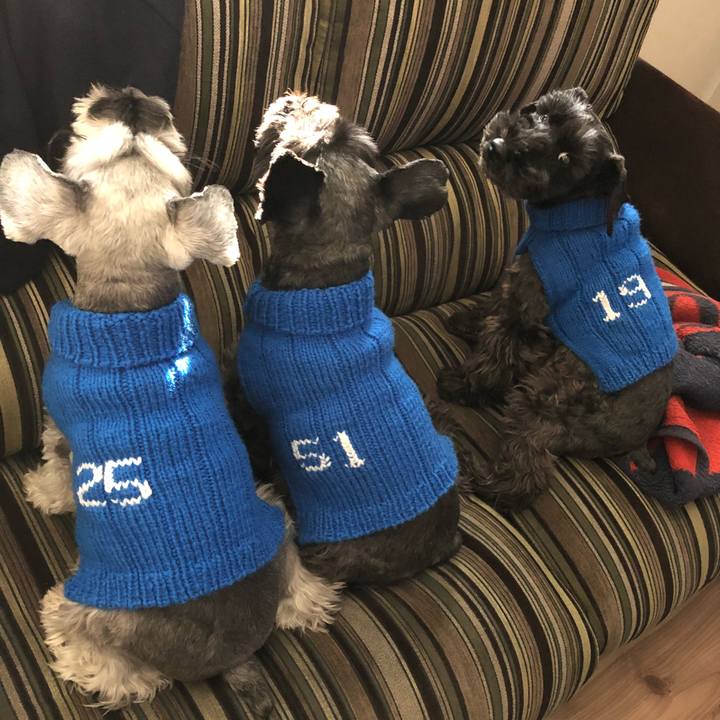 3ee9c407 ec56 48d3 b3ee 54fa3973bbfc 1514521676406