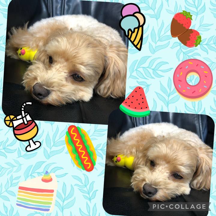 3ee9cb8b 63a9 4a85 9061 8d749eac5e59 1626853531206