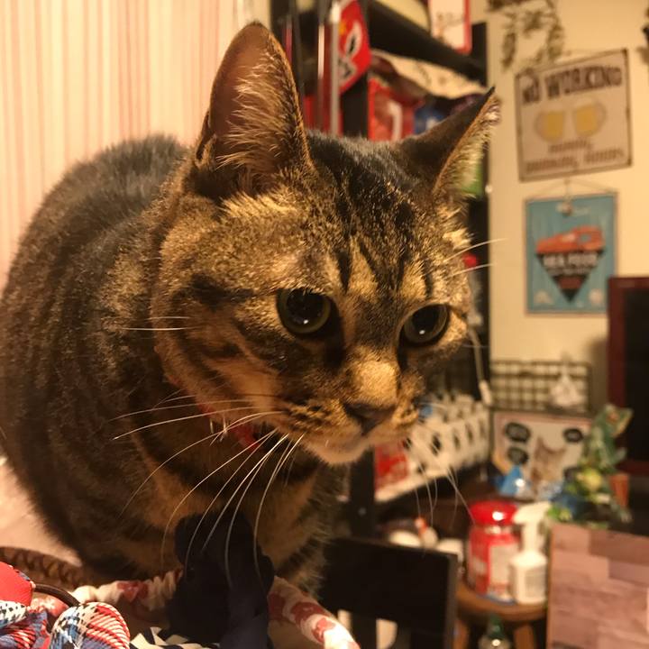 3ee9d8c9 a2dc 4cbf b2ed 709576570cae 1622641806551