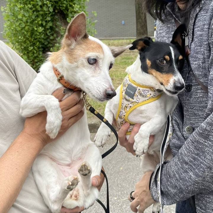 3eea28c8 2083 41b7 a814 cd38ab8bd67f 1718115770346