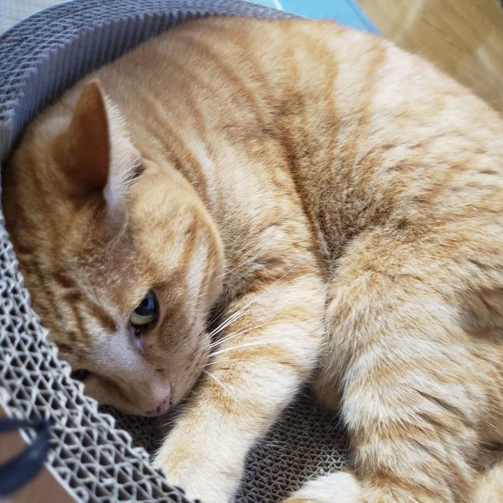 3eea3acf 00c2 4821 ad87 ad863985c489 1722557545007