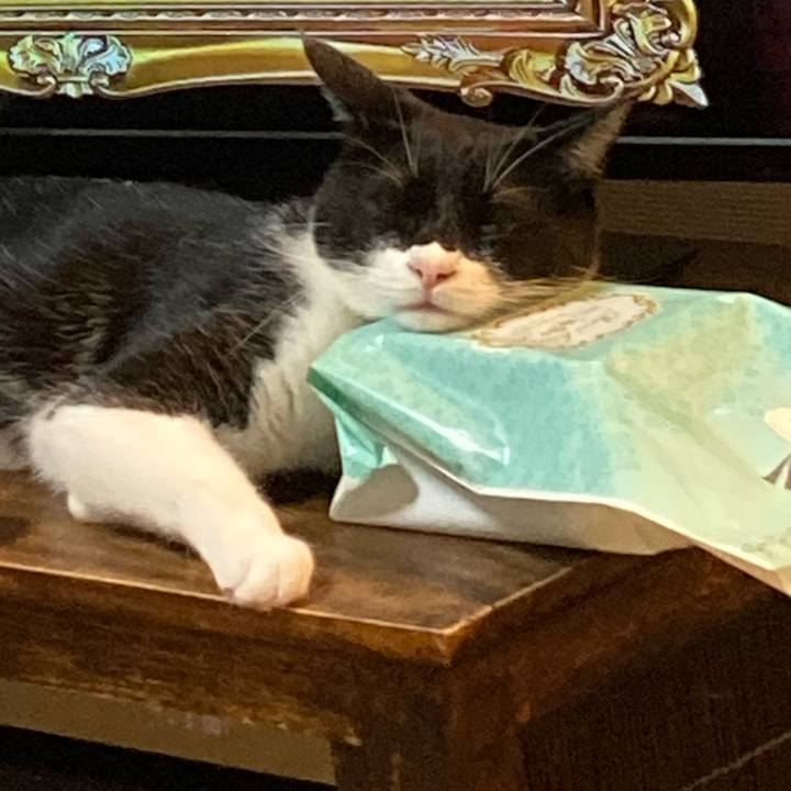 3eea3e06 32b2 4483 87ca 4be41bbe86db 1621684619860