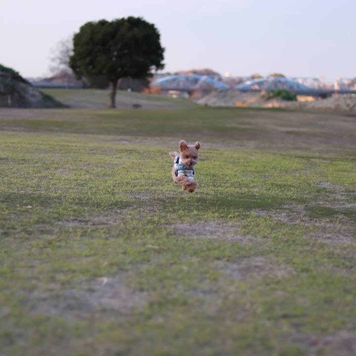 3eea6cd6 e3ab 4eb1 aba5 c834b5c1f606 1584282397849