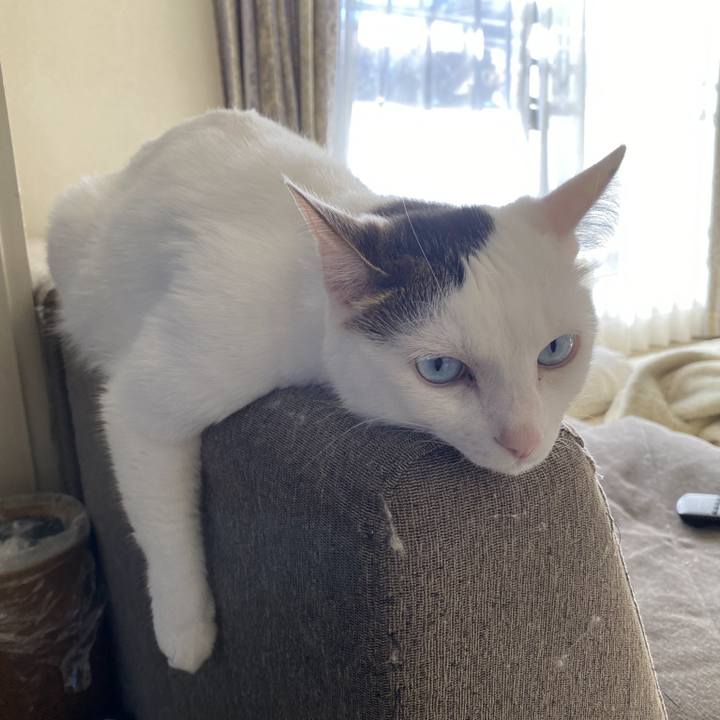 3eeaa9ba 1993 43f3 b730 b34602ab3944 1768144315192