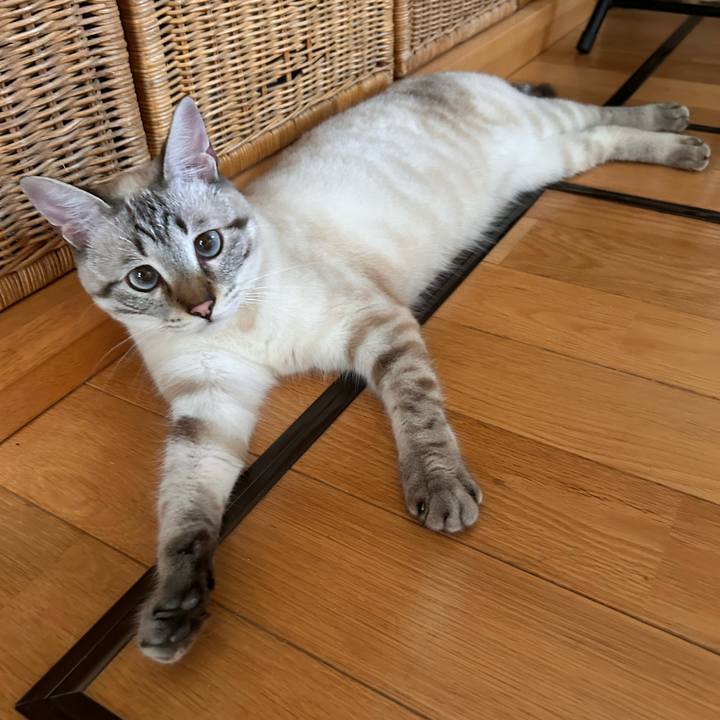 3eeabb17 4ae0 4532 9dbe f2a55697ce39 1751539876149