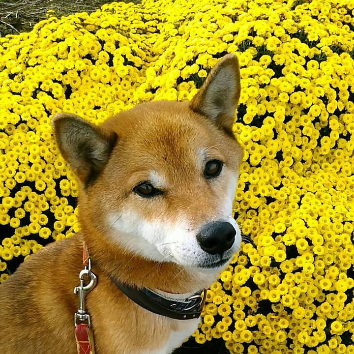 3eeabe45 6f4d 4161 adb9 58c0862ad4af 1572739762894