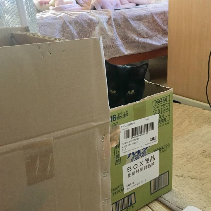 3eeaf386 90fc 4442 8c08 d0961ef47655 1510403082479