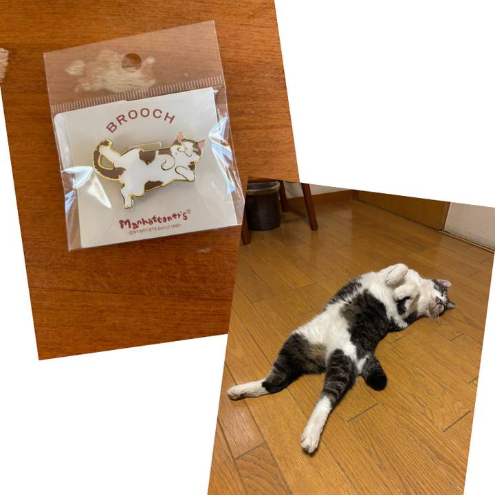 3eeb2866 bb19 4594 8ca6 2ad56fd31e81 1772518638257