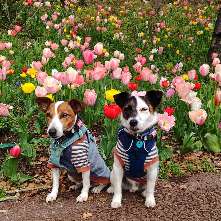 3eeb58e7 f4e3 417c 8676 9632d3225c5d 1712452835714