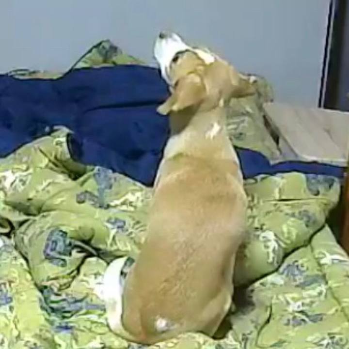 3eeb9c5f 709f 408f a5c2 c2fde62e0def 1511043194041