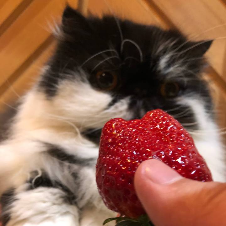 3eeb9e1a 3d13 46d3 8af7 859e9bd35f24 1613386857586