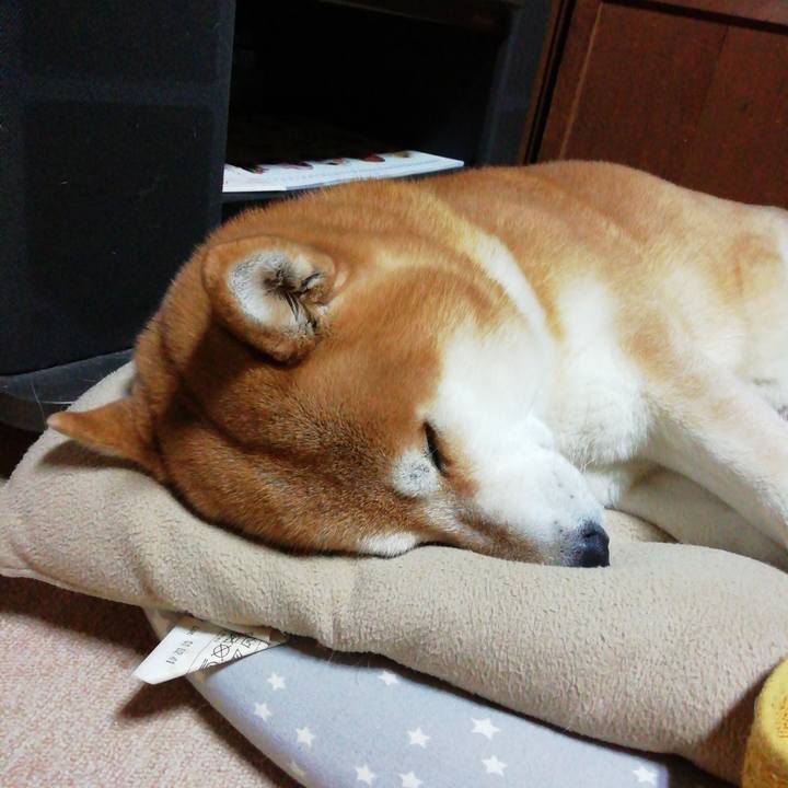 3eebca82 6255 452f b058 dc4ca3219e20 1675259919692