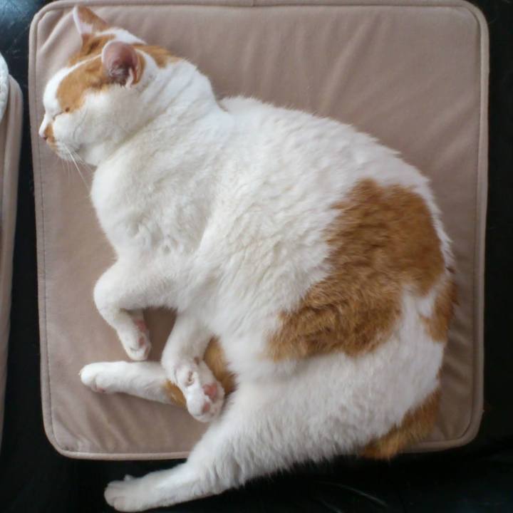 3eebe0bb 9269 4aca 920b 02c2e392d627 1657971002153