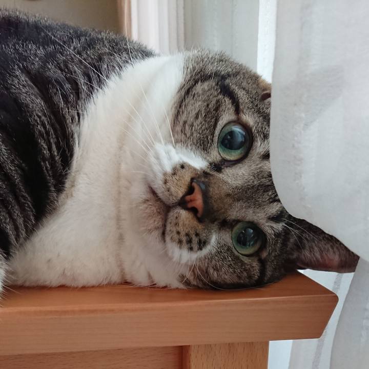 3eebecbd b7cd 4eef 84df 133b551d9f17 1568931776453