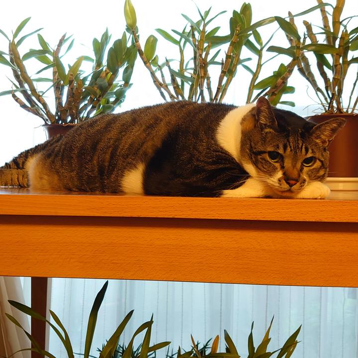 3eec2649 dfb9 4b5a 98d7 bbde7e621694 1607468411349